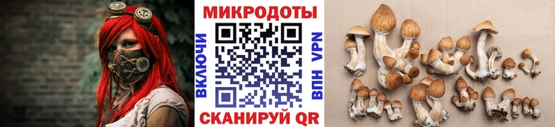 Галлюциногенные грибы мицелий  Купить где  Удомля 